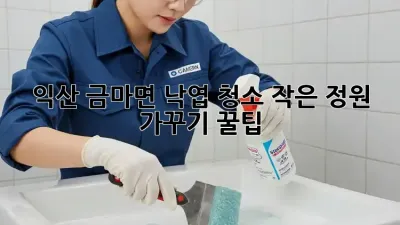 익산 금마면 낙엽 청소🧹🍁: 작은 정원 가꾸기 꿀팁!