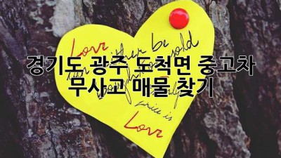 경기도 광주 도척면 중고차 무사고 매물 찾기