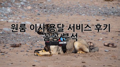 원룸 이사, 용달 서비스 후기: 꼼꼼 분석!