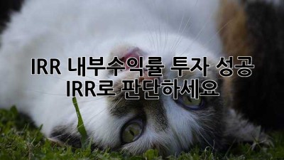 IRR 내부수익률: 투자 성공, IRR로 판단하세요!